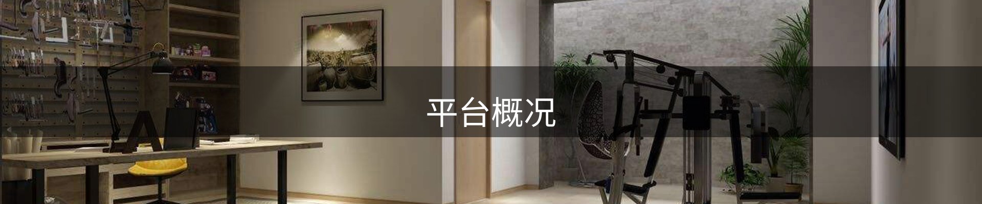 平台概况